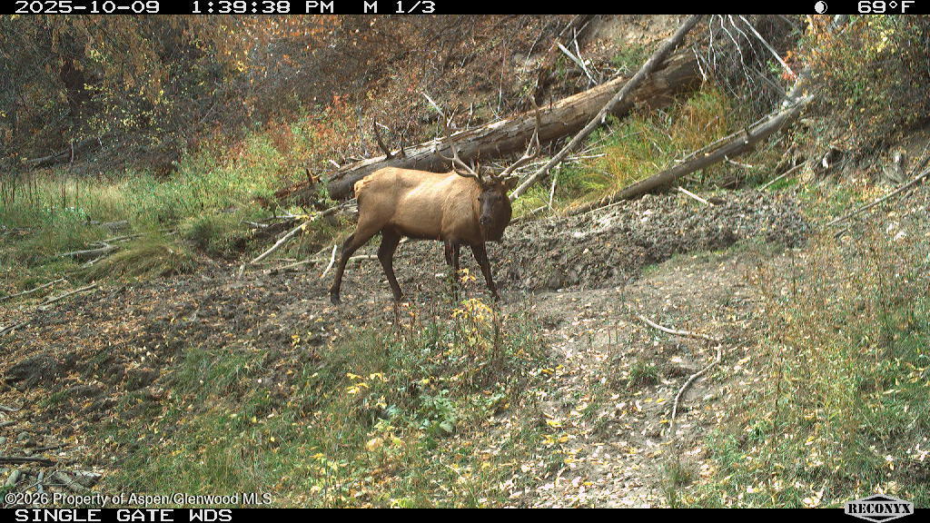 Tbd Highway 13 Property Photo 10