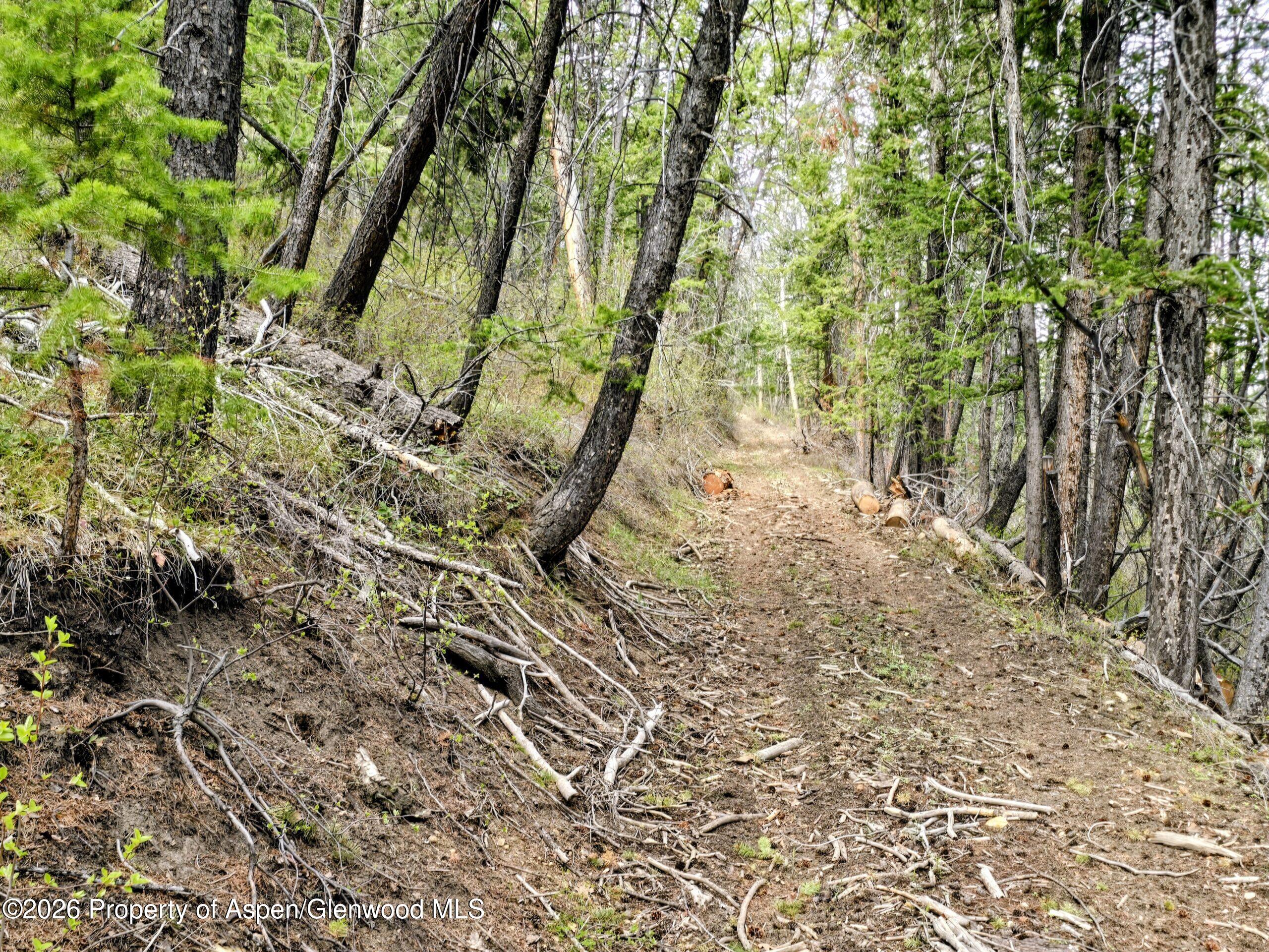 Tbd Highway 13 Property Photo 11