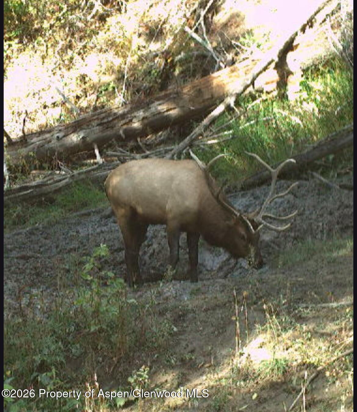 Tbd Highway 13 Property Photo 12