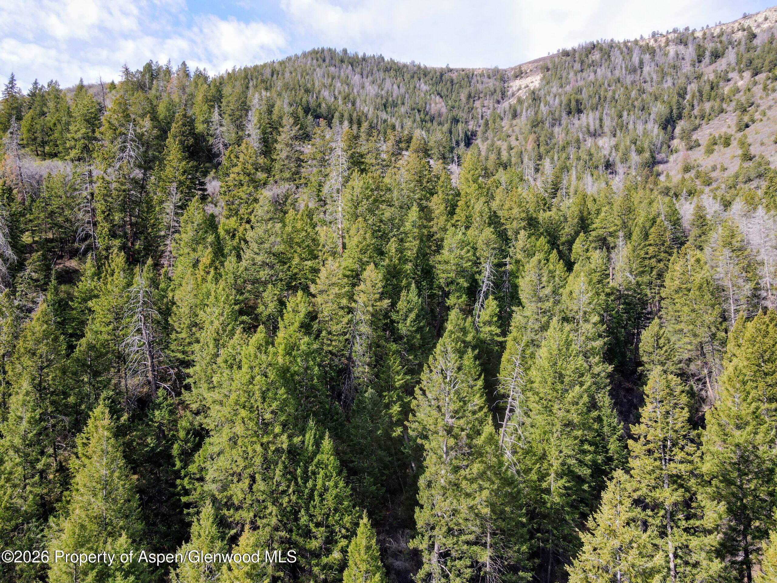 Tbd Highway 13 Property Photo 15