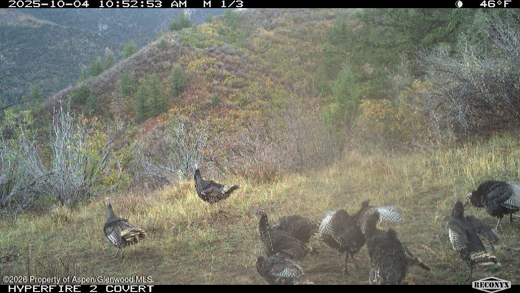 Tbd Highway 13 Property Photo 22
