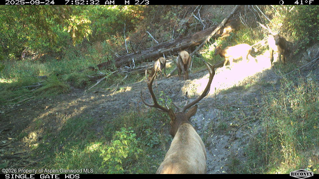 Tbd Highway 13 Property Photo 25