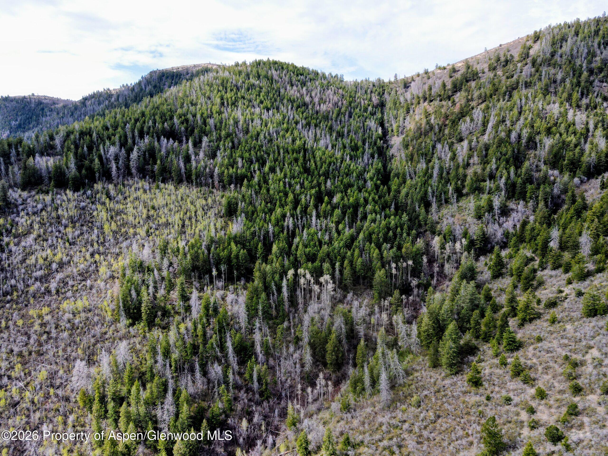 Tbd Highway 13 Property Photo 31