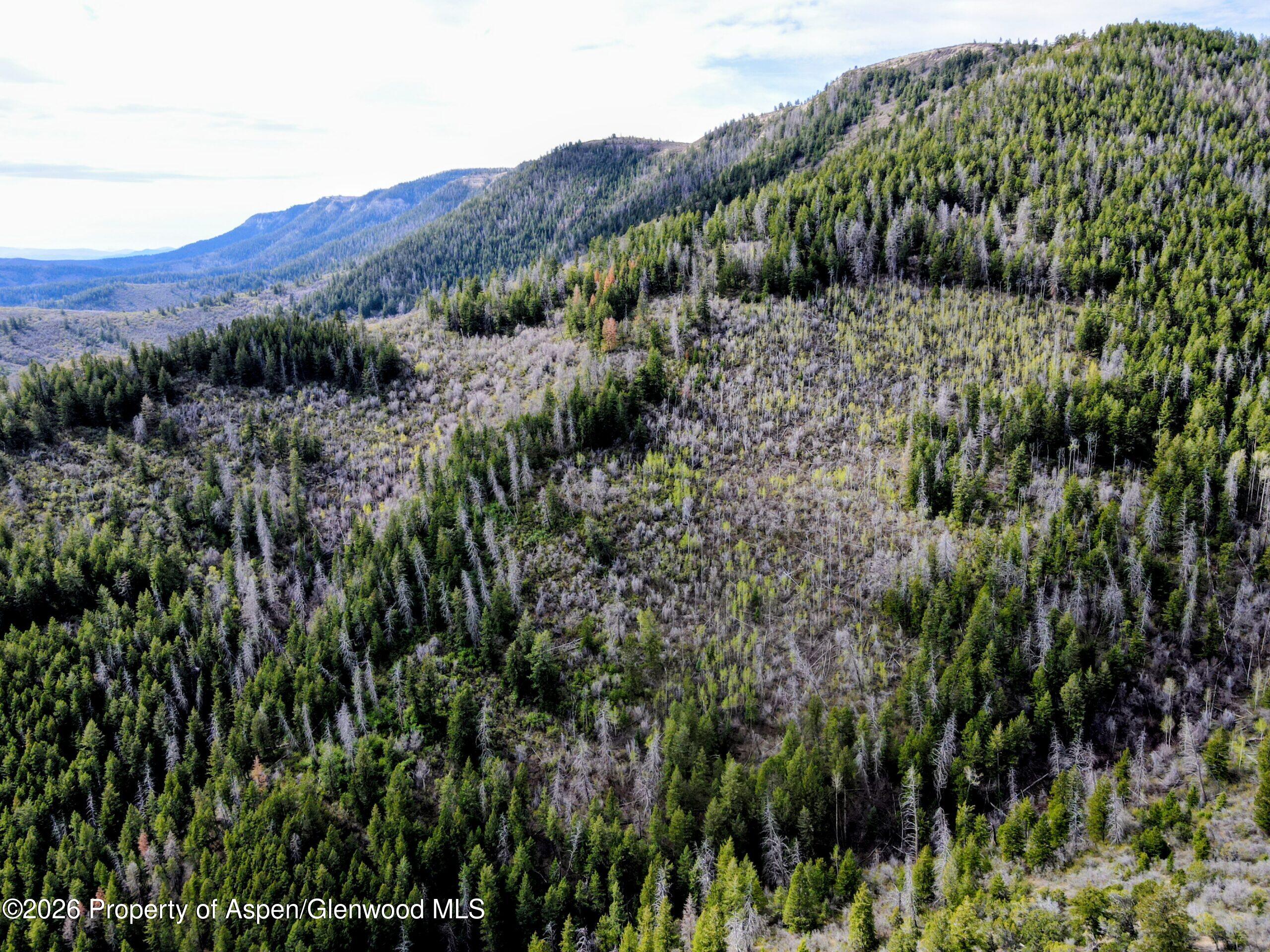 Tbd Highway 13 Property Photo 33