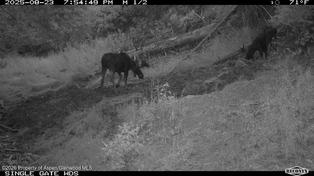 Tbd Highway 13 Property Photo 34