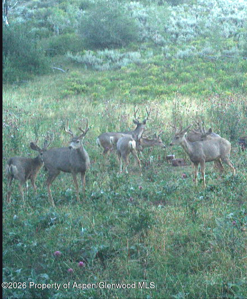 Tbd Highway 13 Property Photo 43