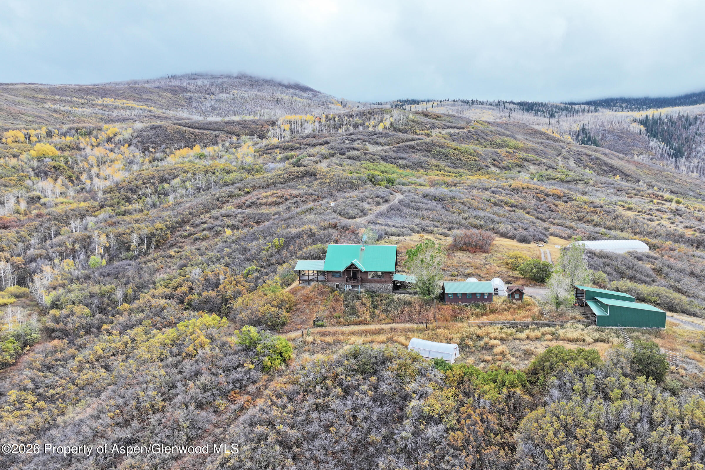 10822 60 3/4 Road Property Photo 38