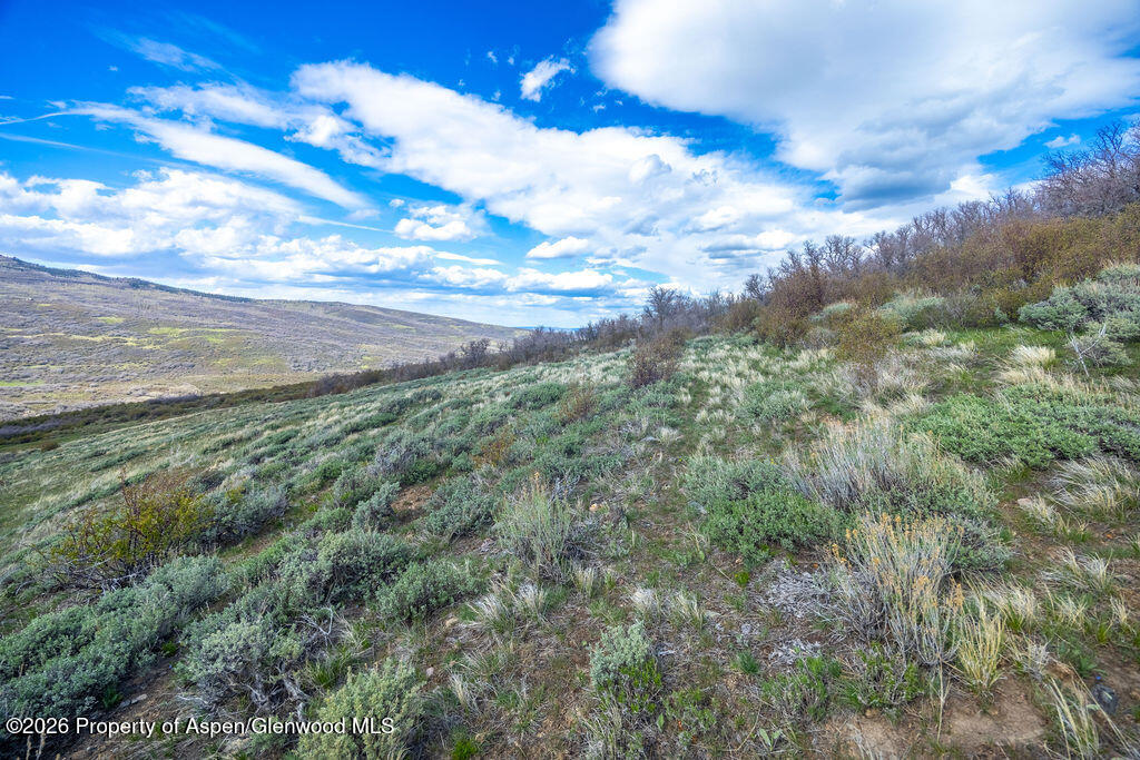 1561 Eagle Loop Lot 753 Property Photo 10