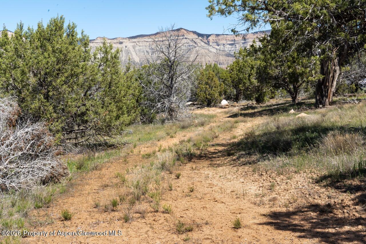 Tbd T Road Property Photo 13