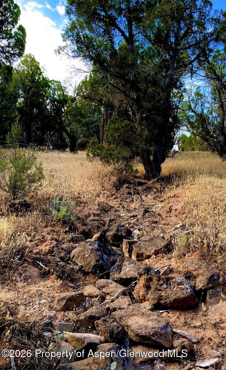 Tbd T Road Property Photo 24