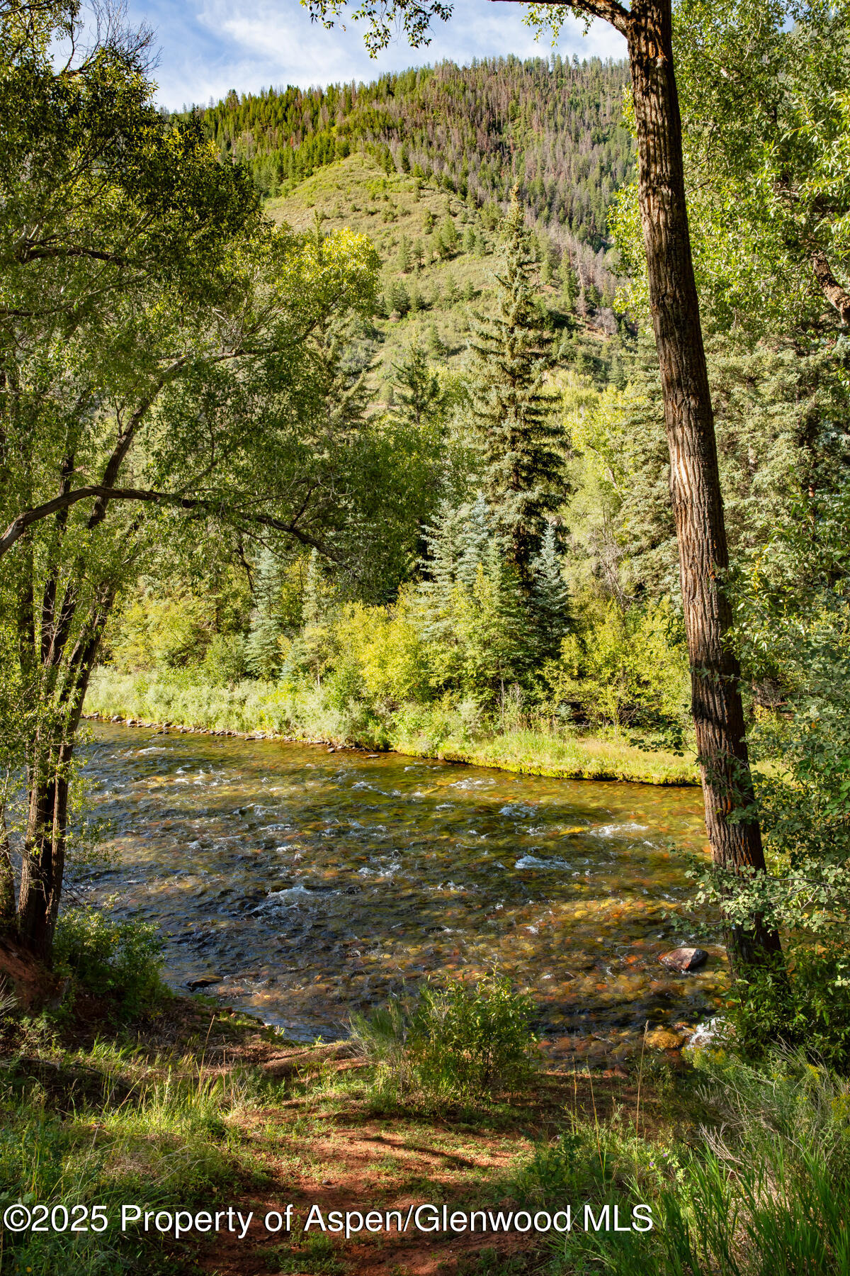 Tbd Lower River Road Property Photo 4