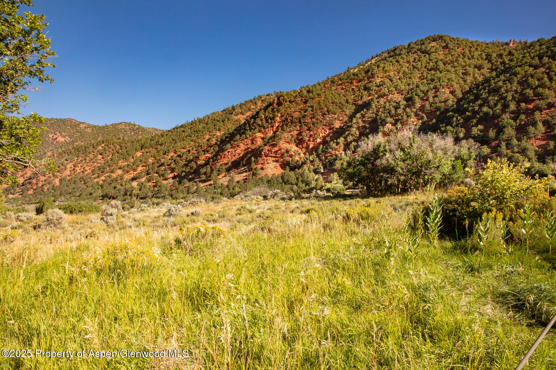 Tbd Lower River Road Property Photo 8