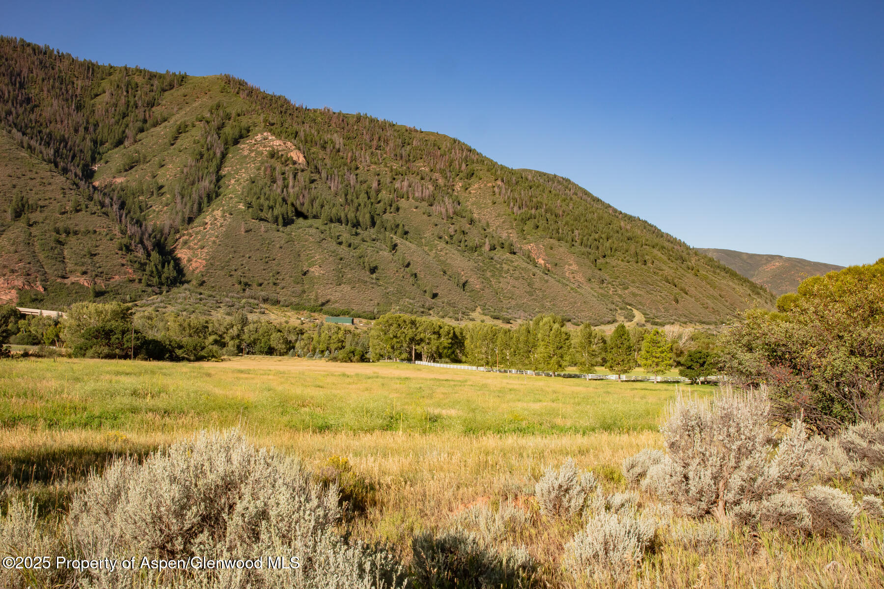 Tbd Lower River Road Property Photo 9