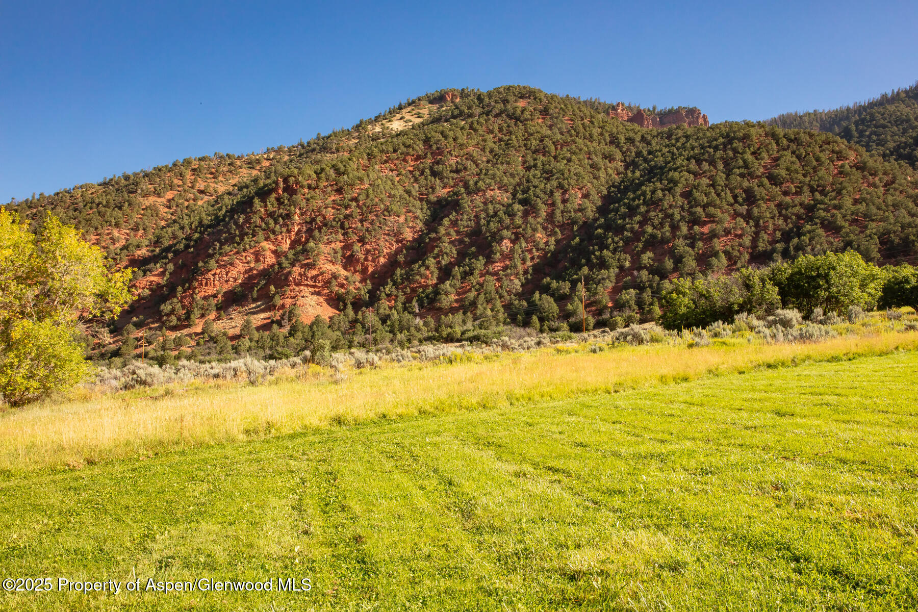 Tbd Lower River Road Property Photo 13