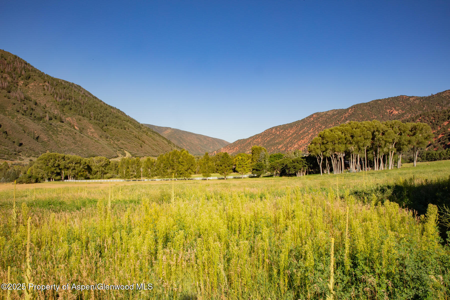 Tbd Lower River Road Property Photo 16
