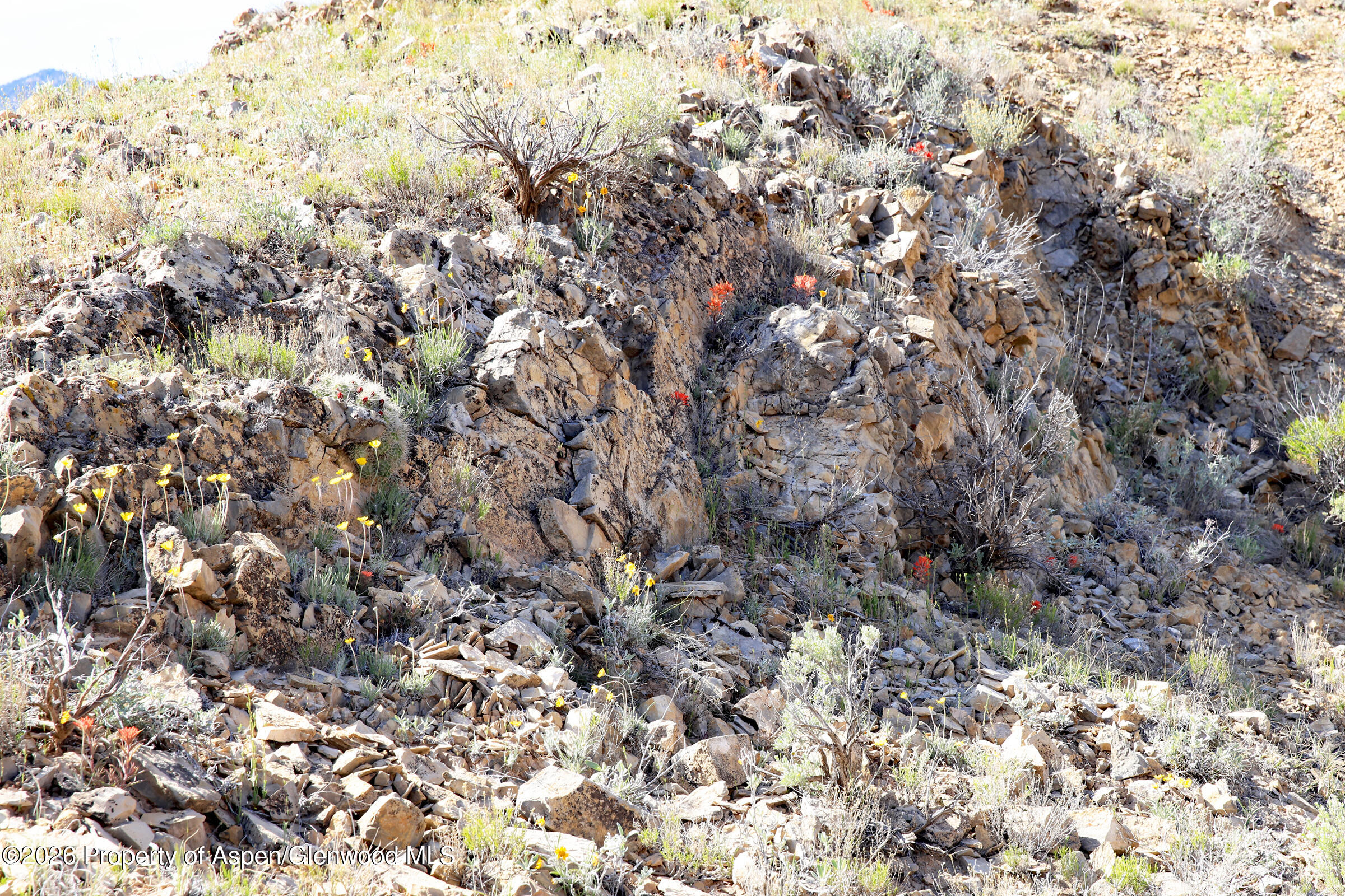 Tbd Tbd Property Photo 32