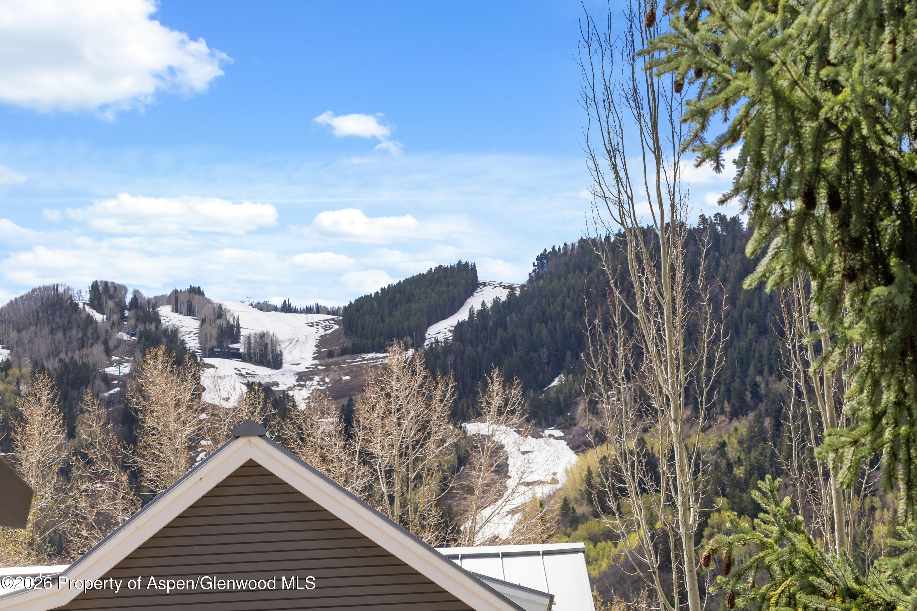 101 E Hallam Street Property Photo 20