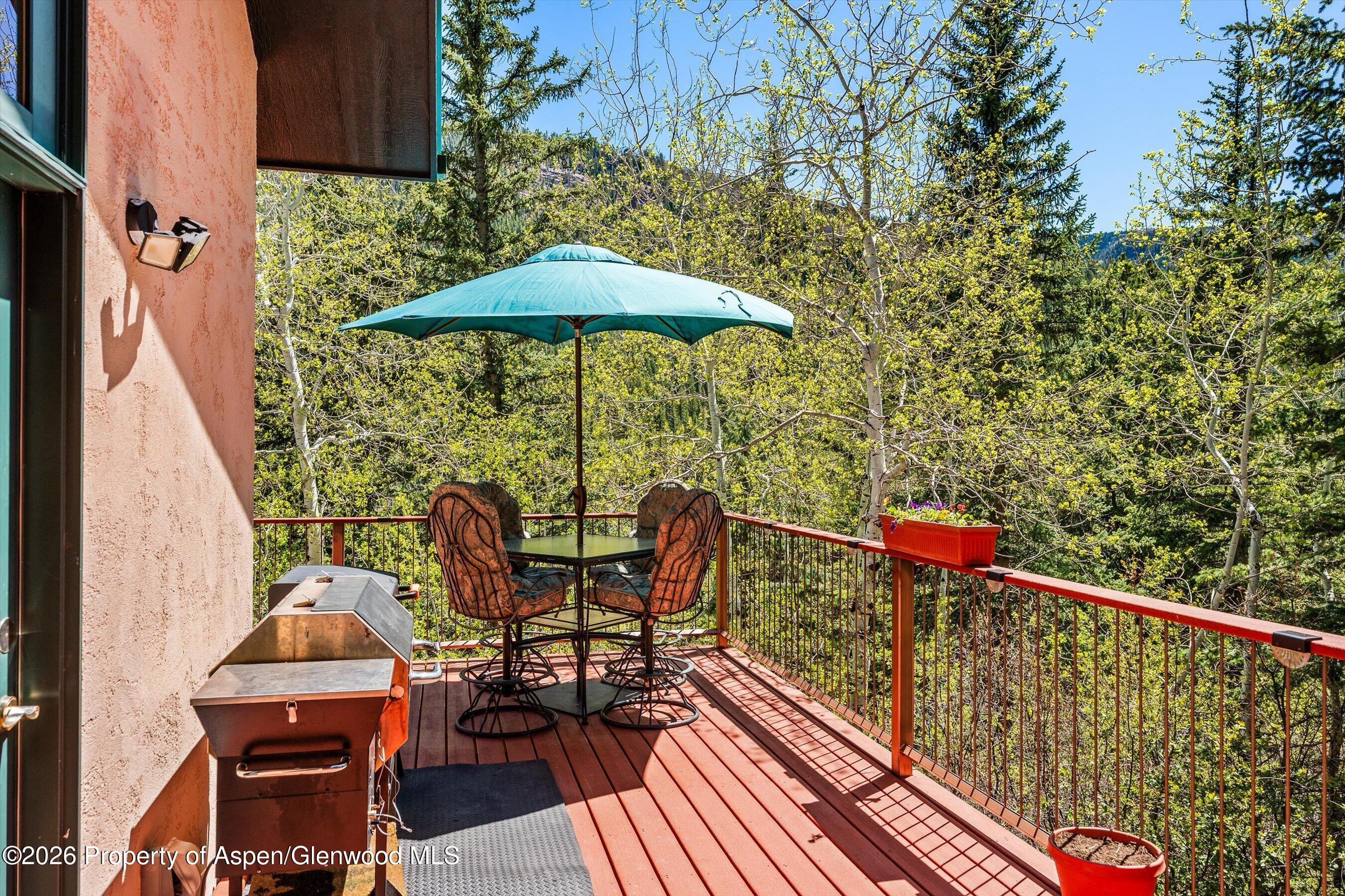 200 Elk Mountain Drive Property Photo 22