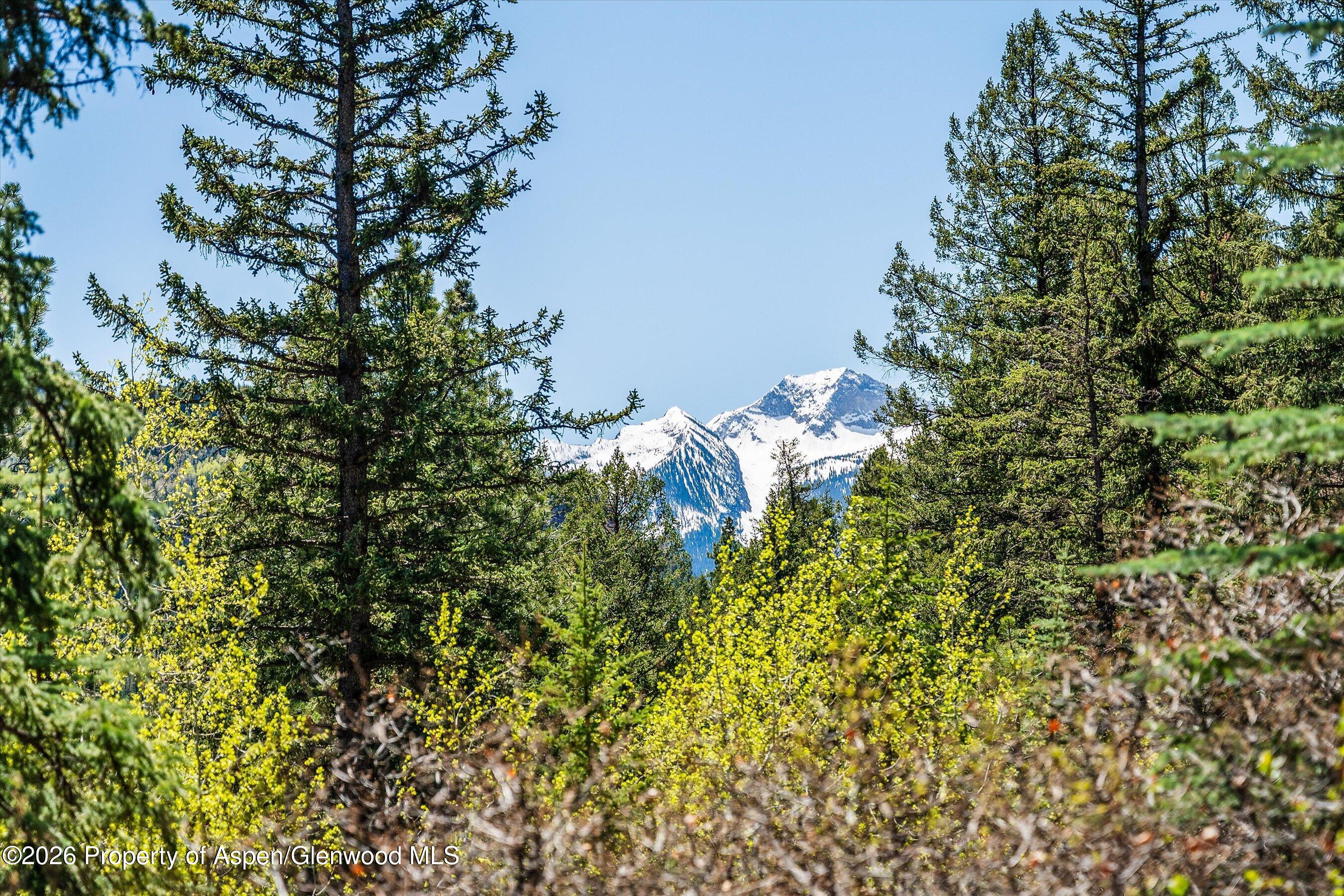 200 Elk Mountain Drive Property Photo 23