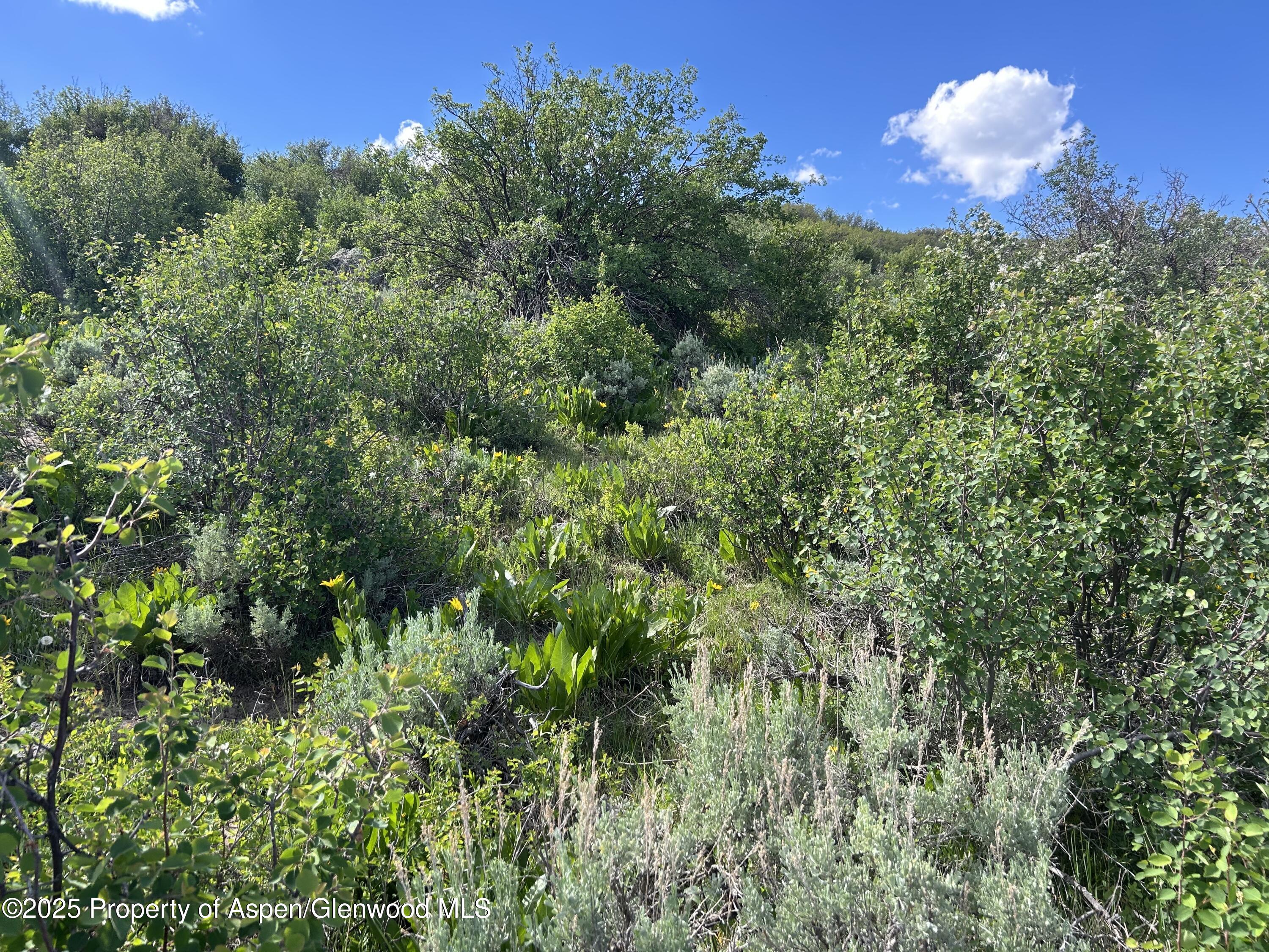 889 Granite Road Lot 446 Property Photo 7