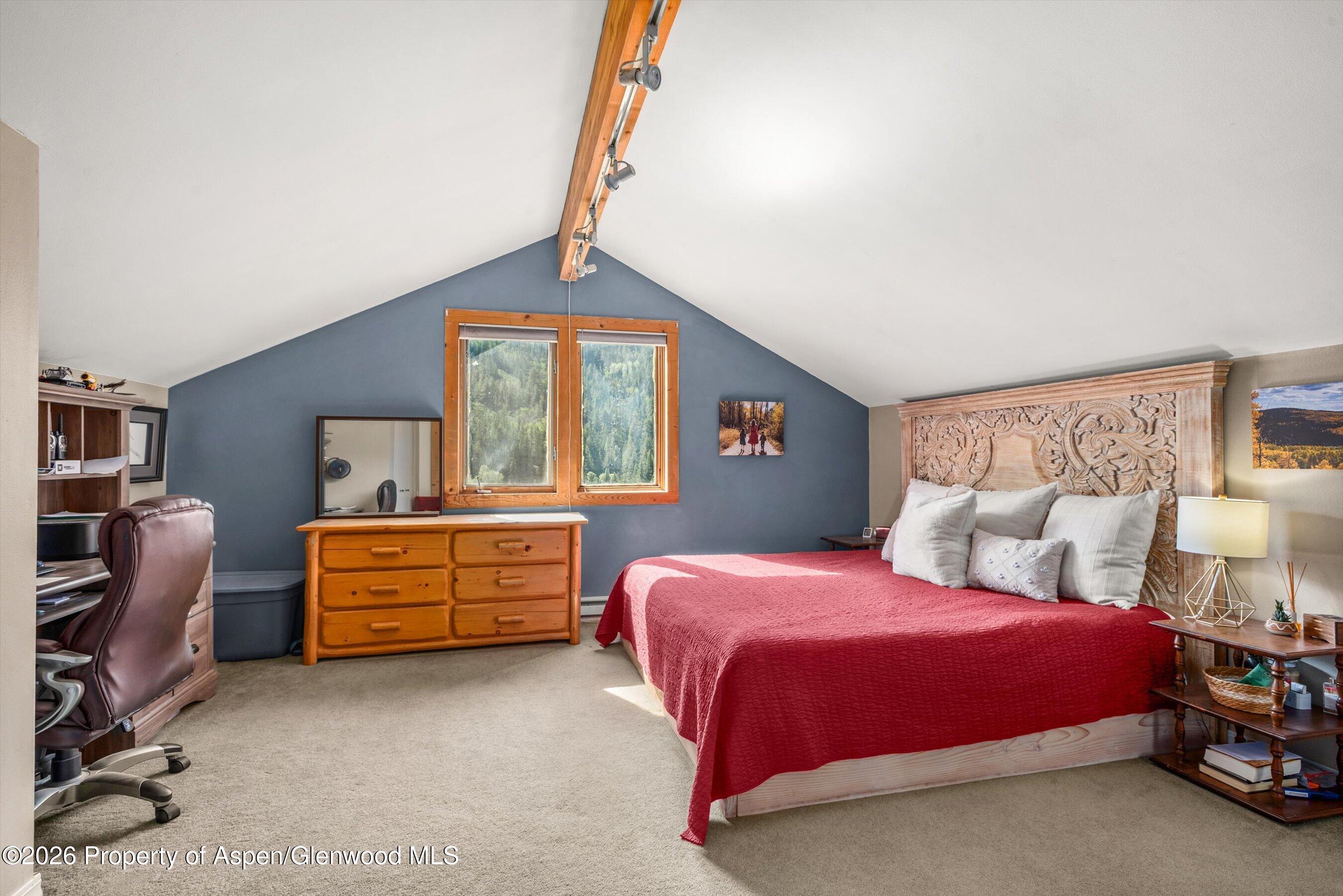 357 Elk Mountain Drive Property Photo 19
