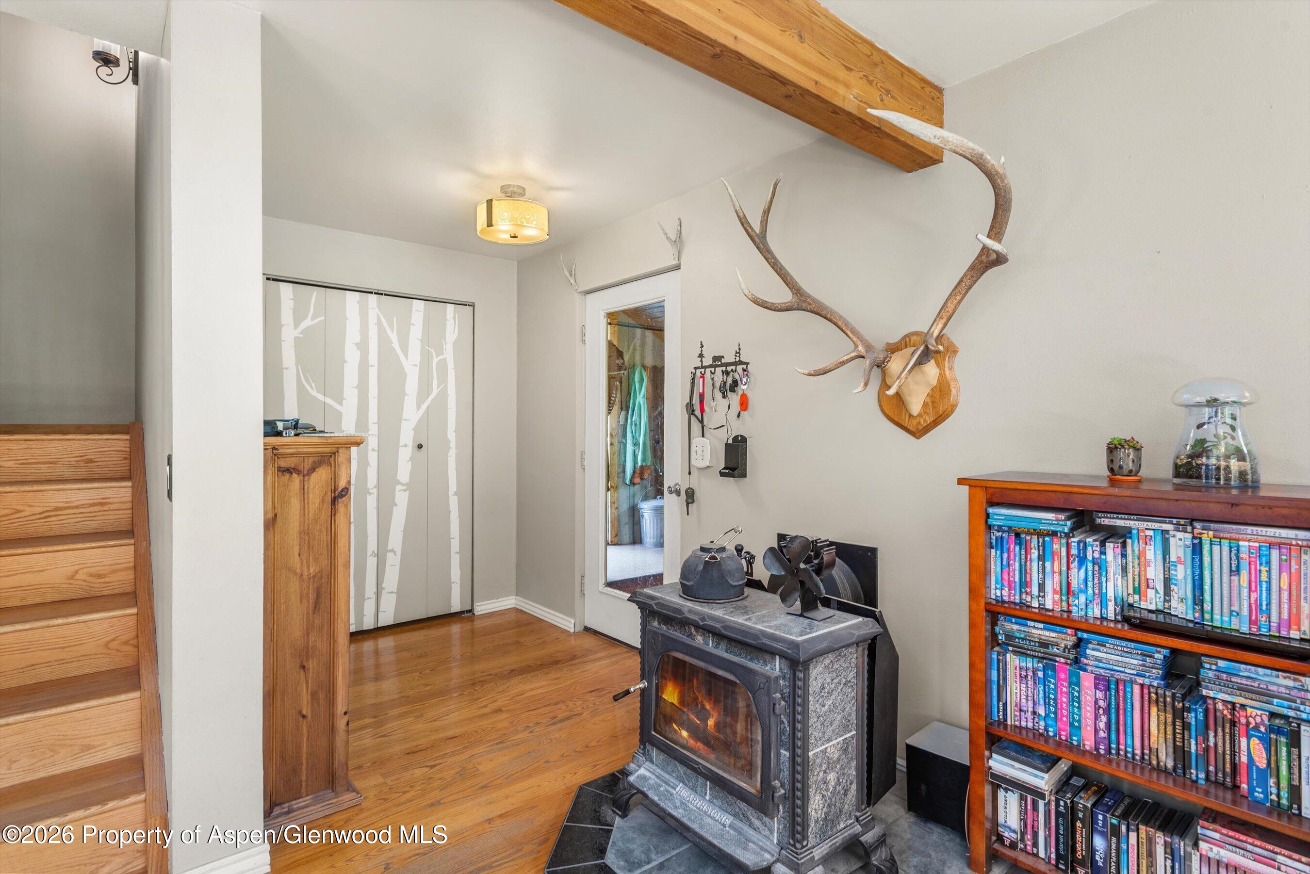 357 Elk Mountain Drive Property Photo 43