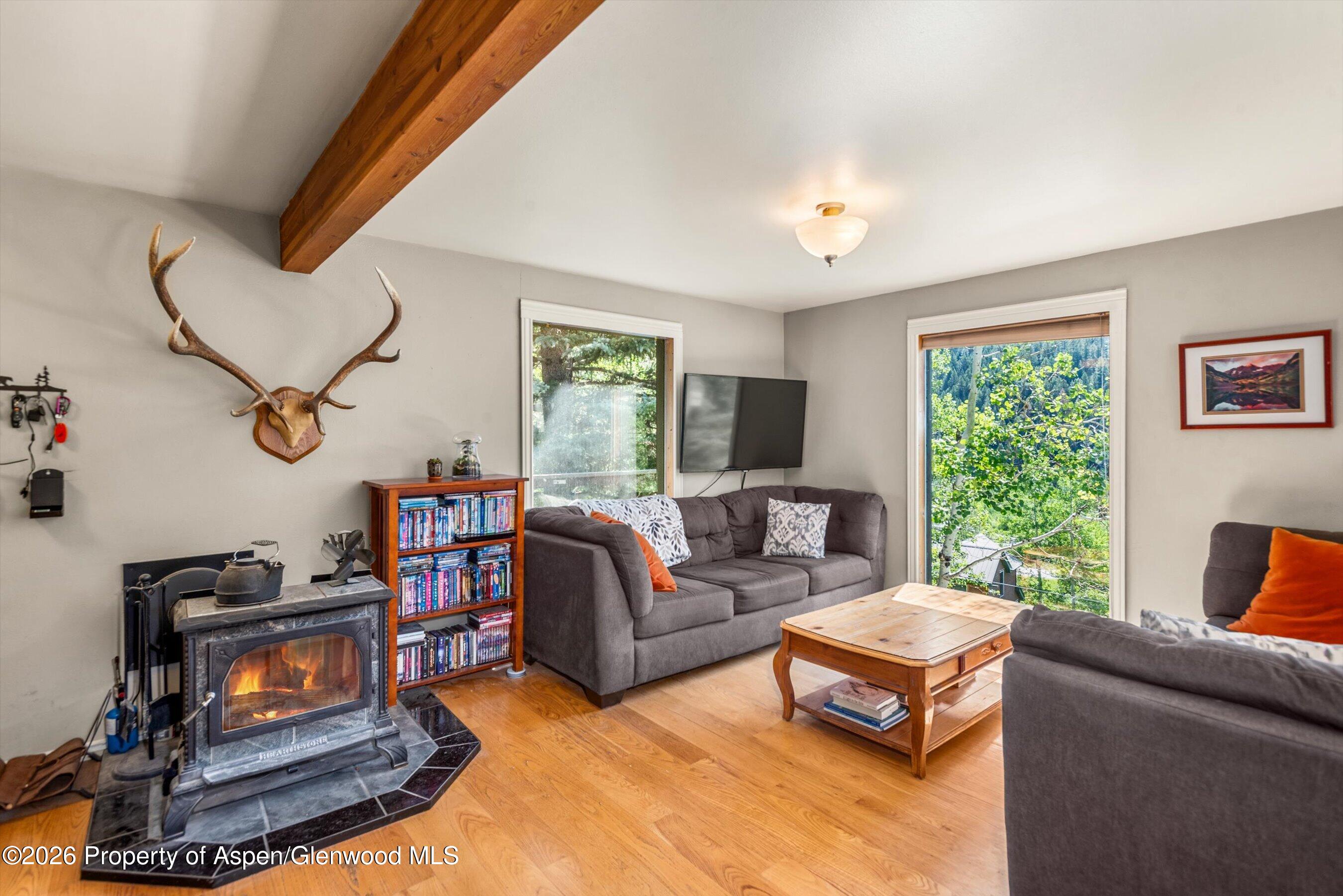 357 Elk Mountain Drive Property Photo 44