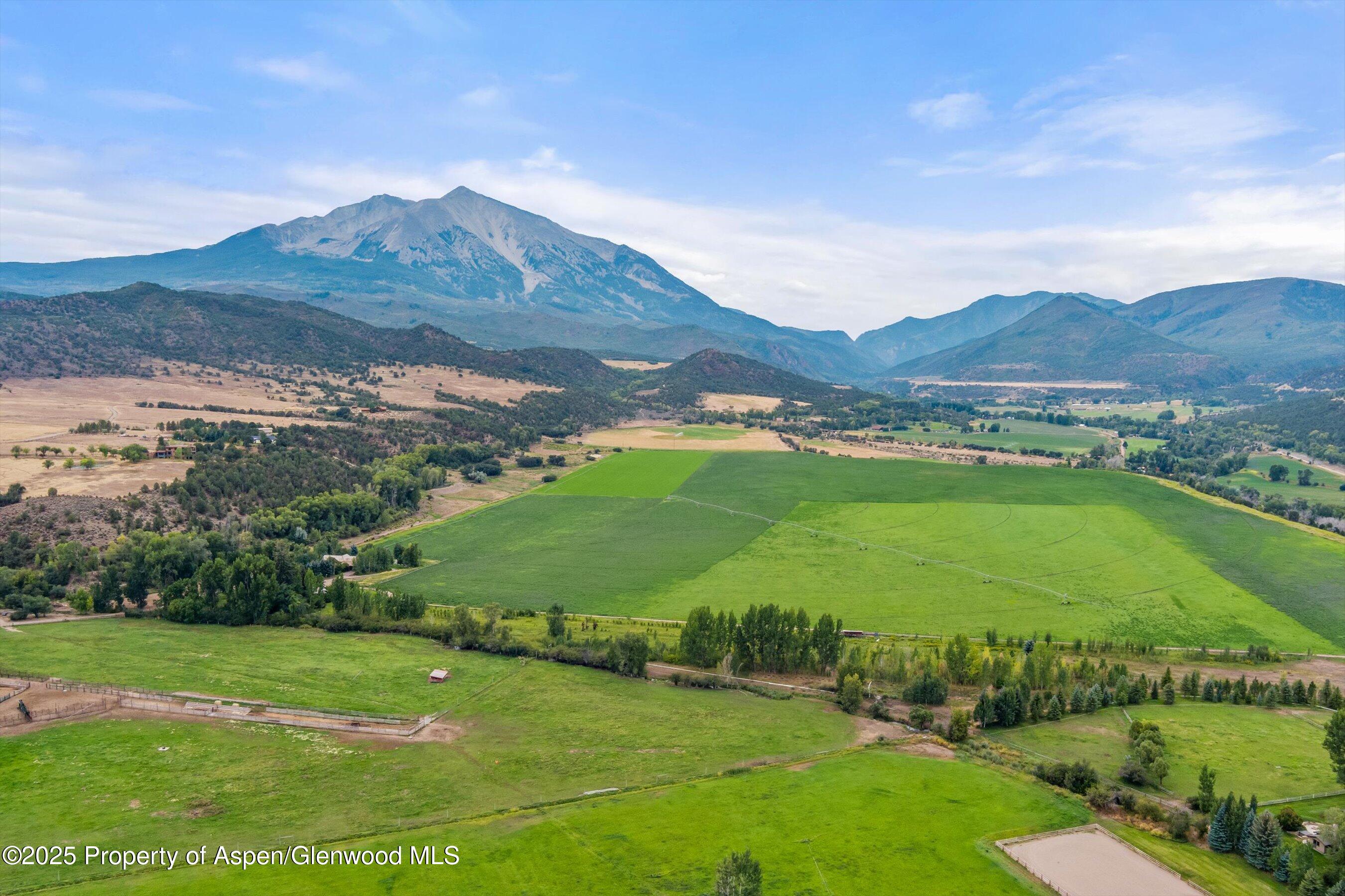 1625 Prince Creek Road Property Photo 3