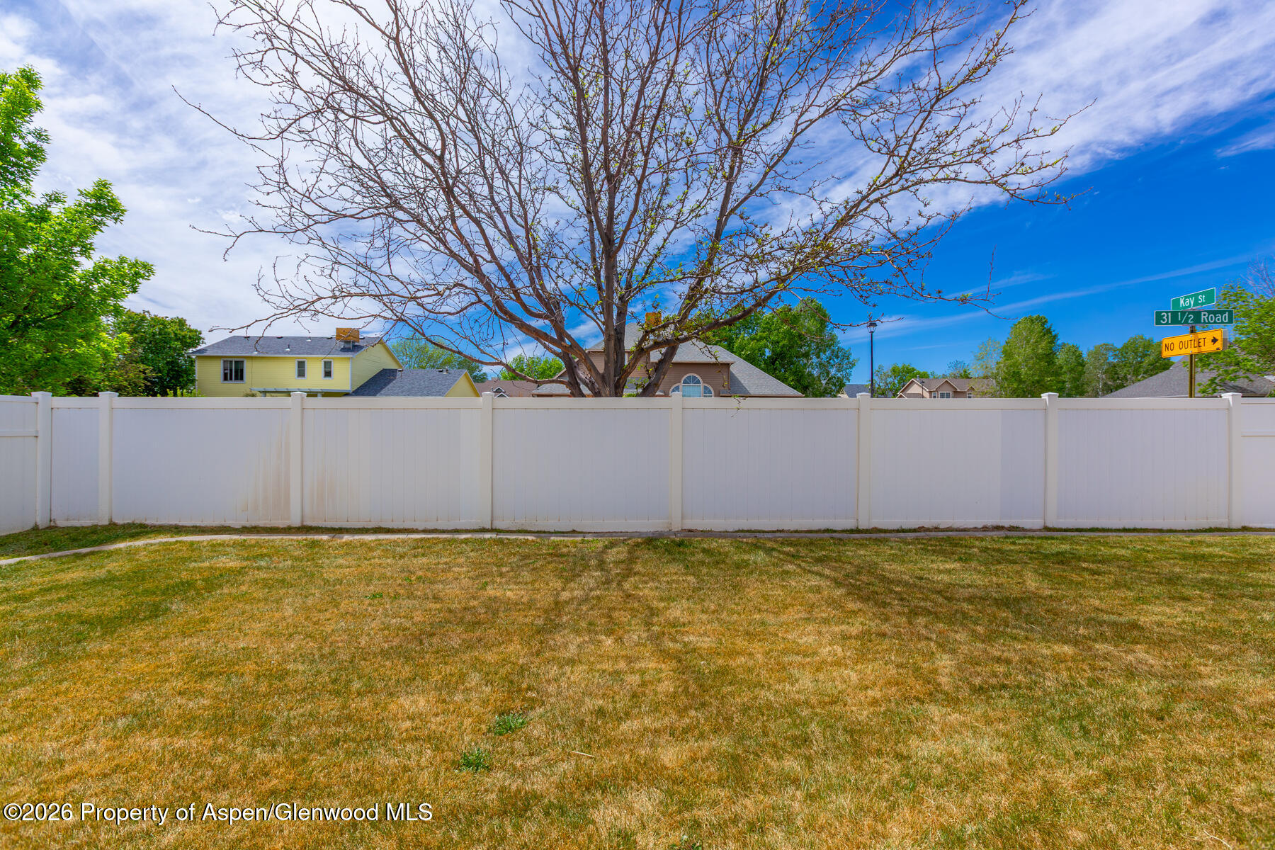 614 Silver Mountain Drive Property Photo 38