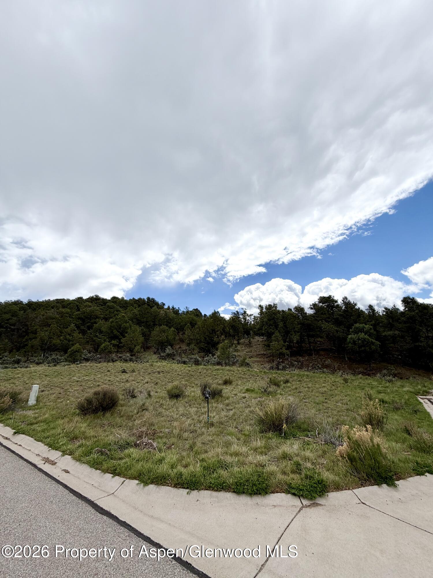 168 Sage Meadow Road Property Photo 3