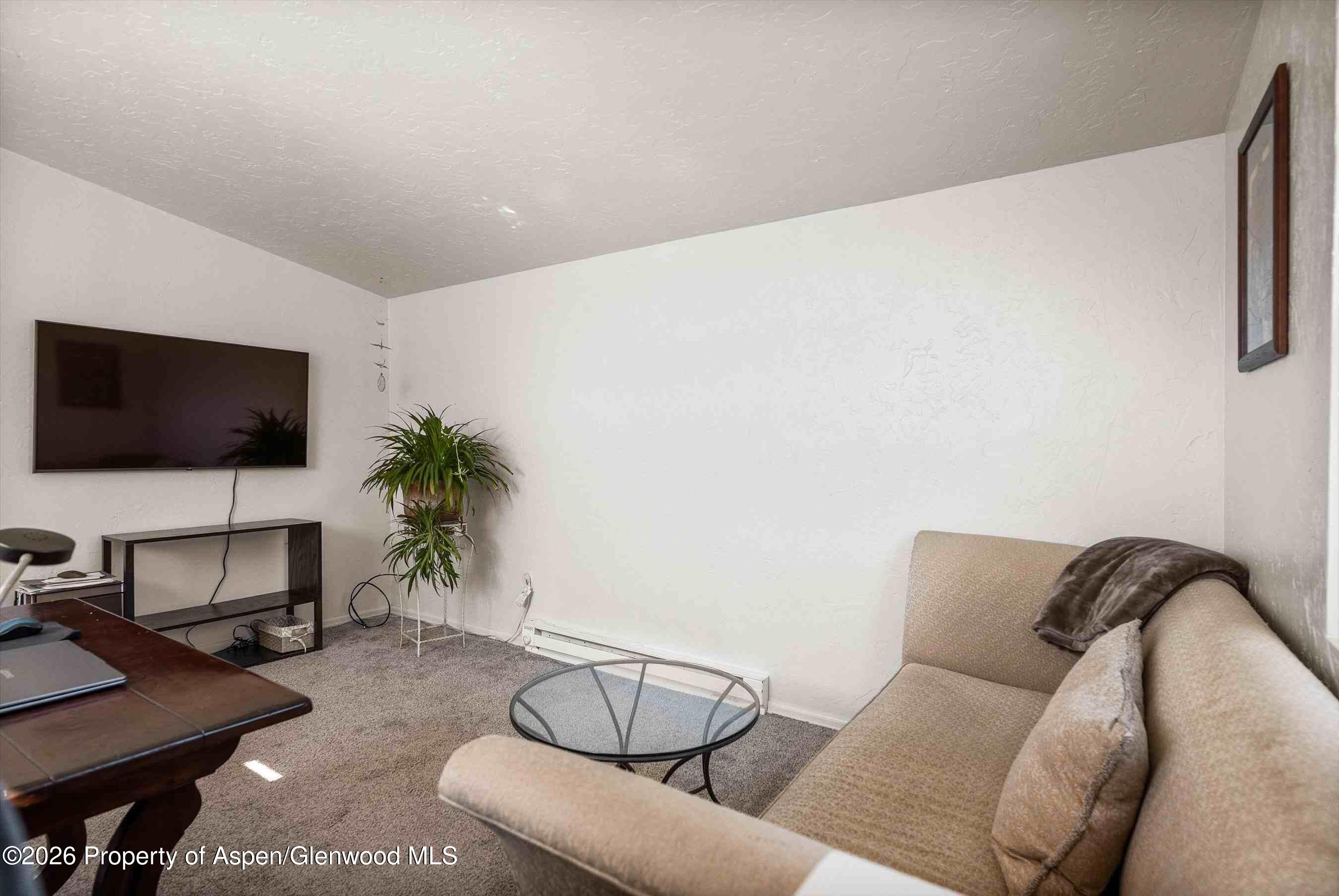 1150 County Road 119 Property Photo 16