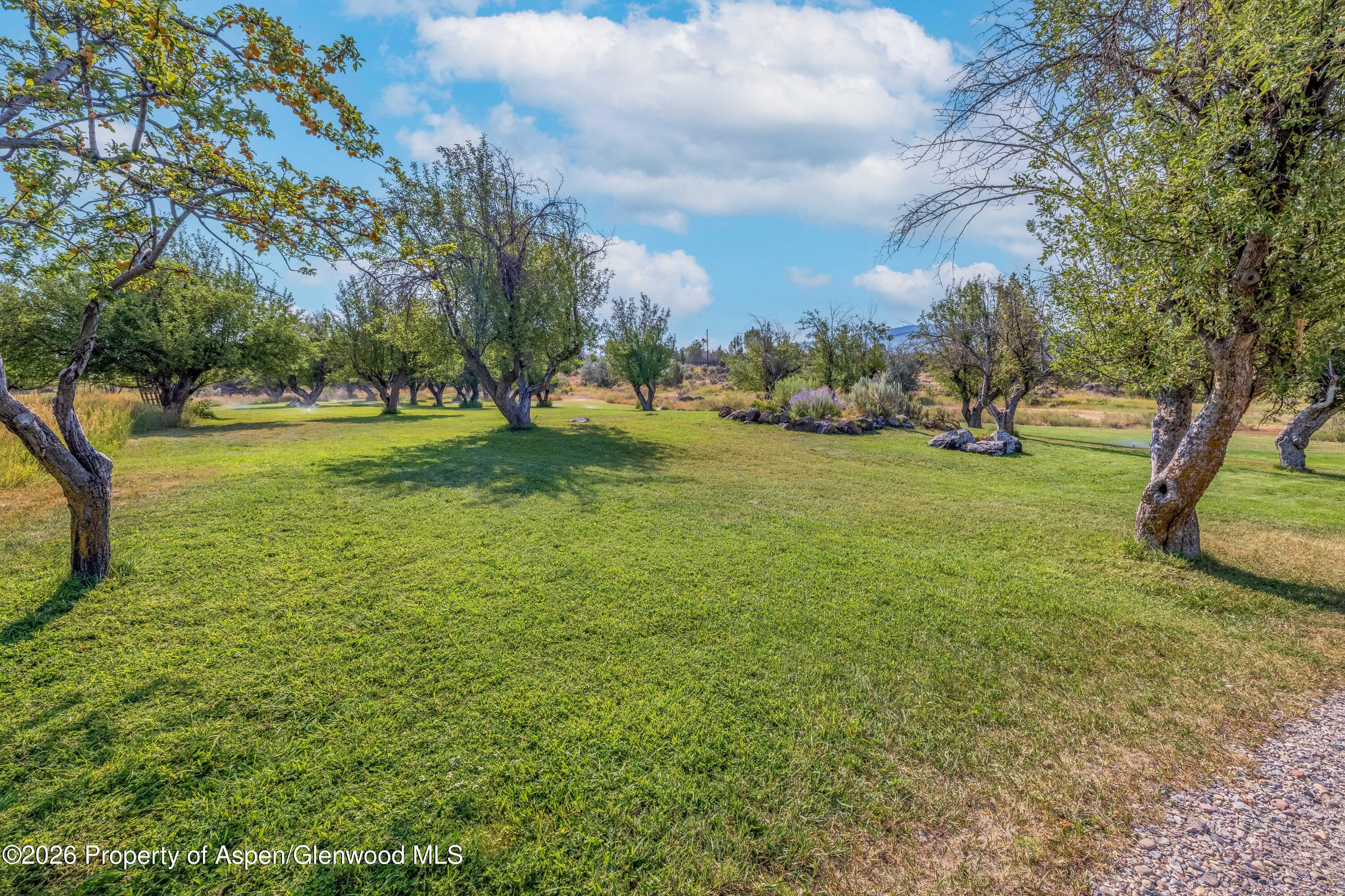 6565 County Road 309 Property Photo 39