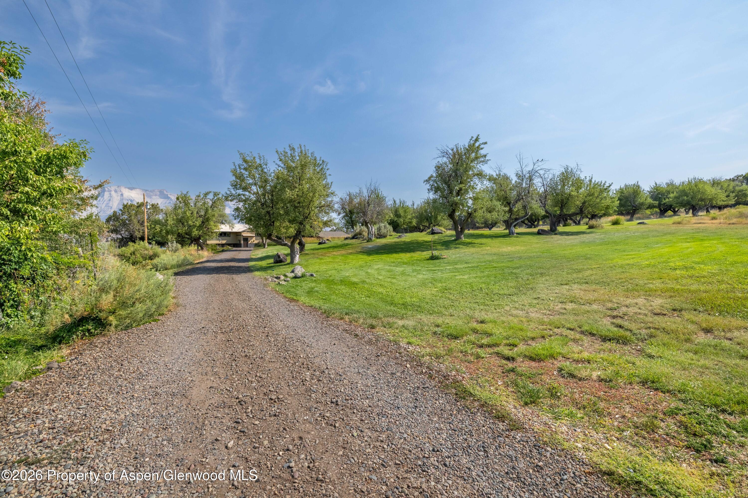 6565 County Road 309 Property Photo 40