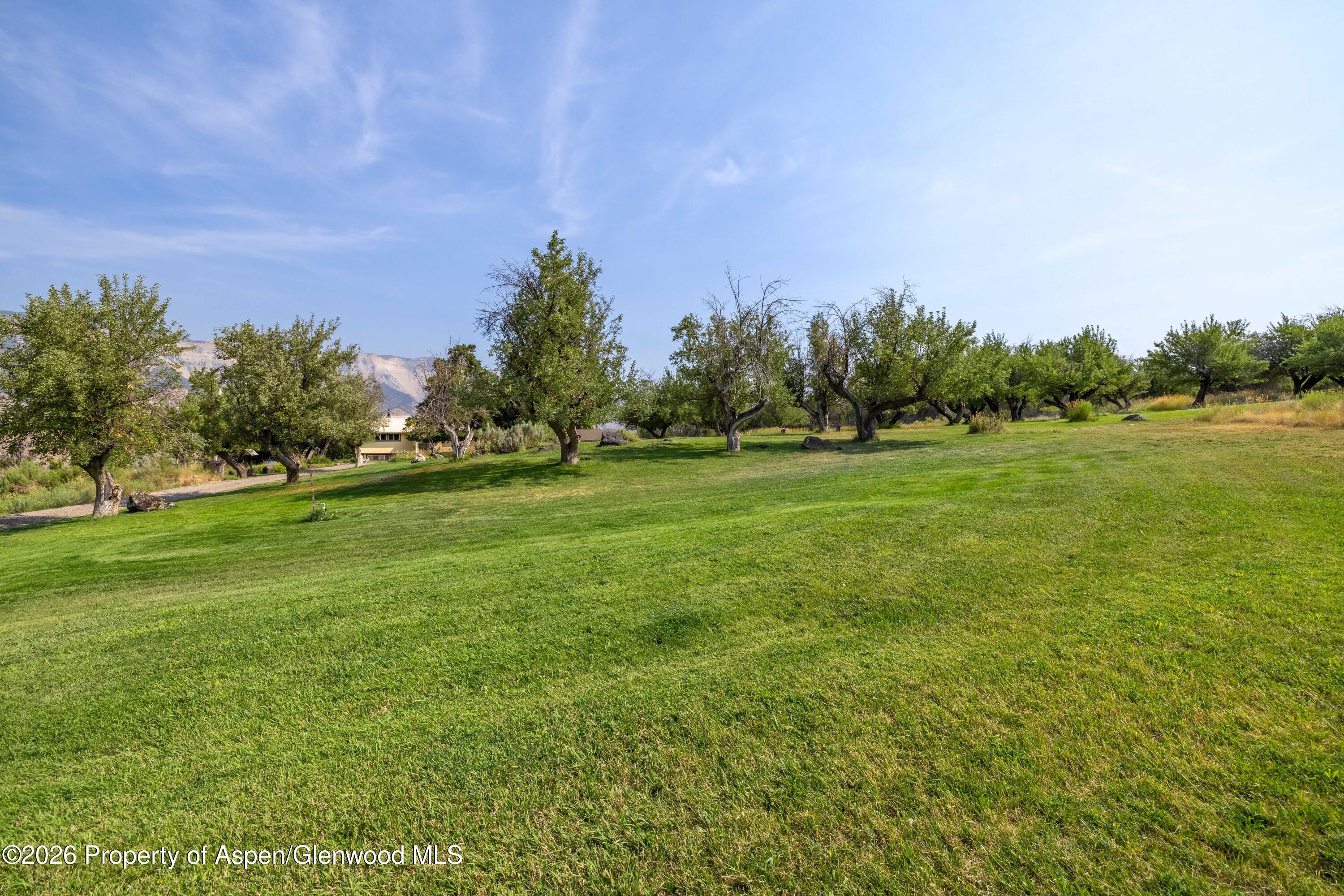 6565 County Road 309 Property Photo 41