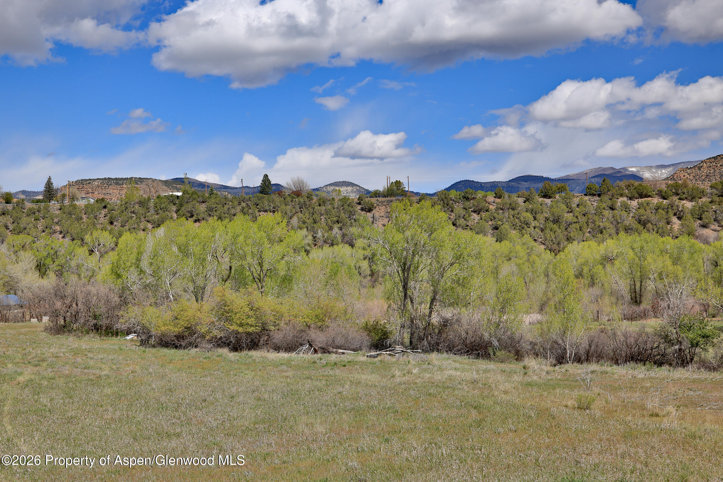 1006 Spring Street Property Photo 15