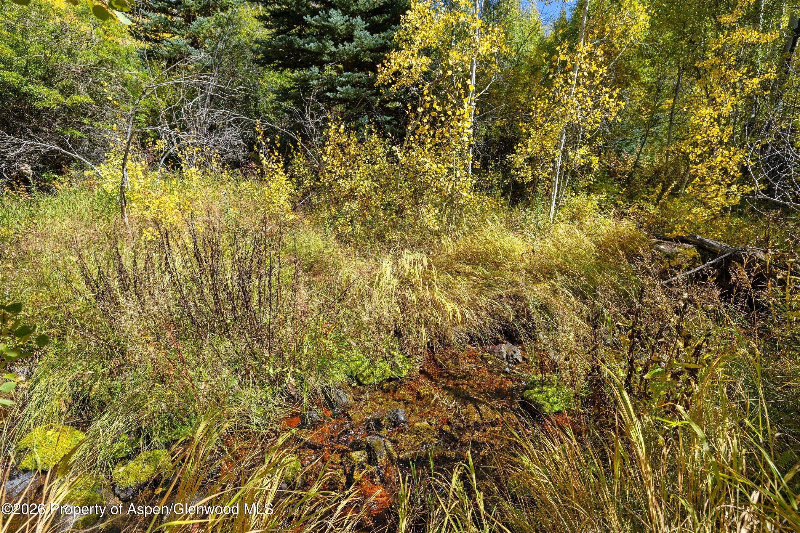 0 Frying Pan Road Property Photo 19
