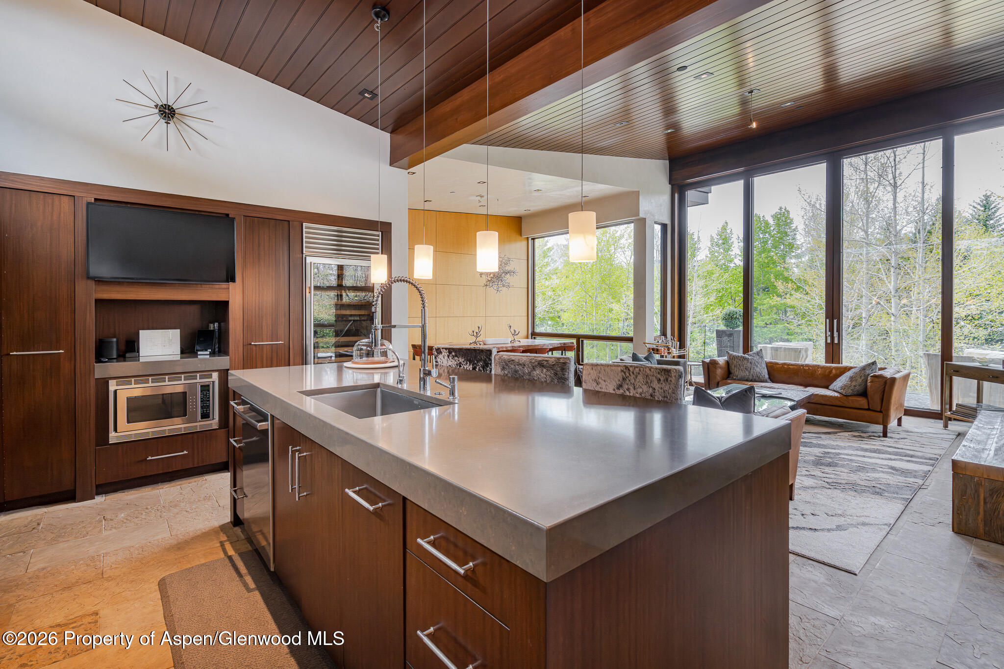 1564 Silver King Drive A Property Photo 10