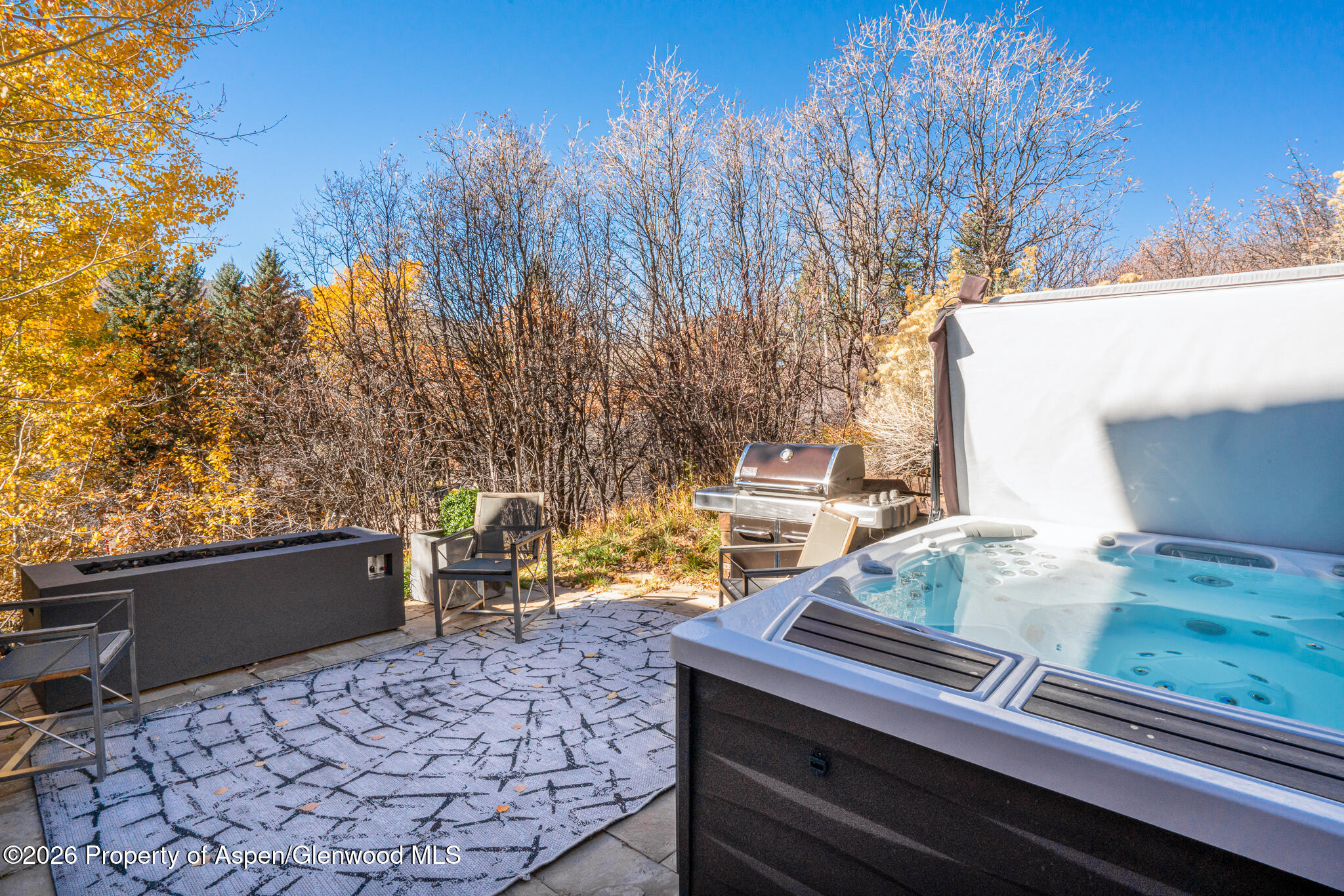 1564 Silver King Drive A Property Photo 38