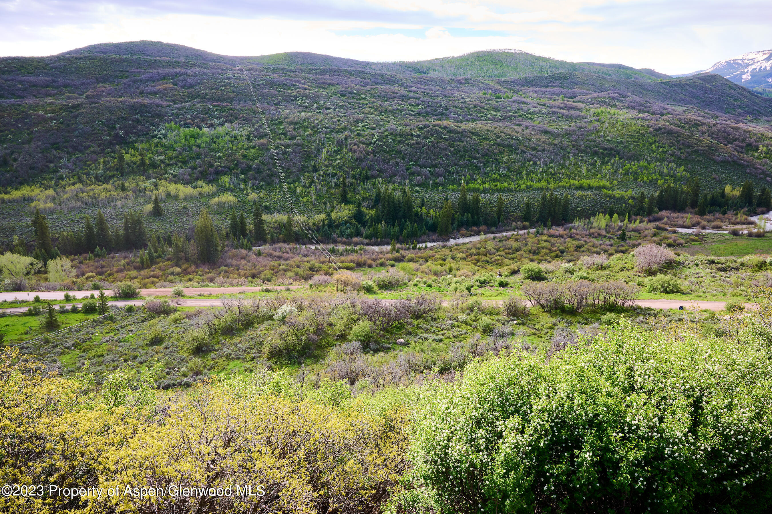 51 Shield O Road Property Photo 17
