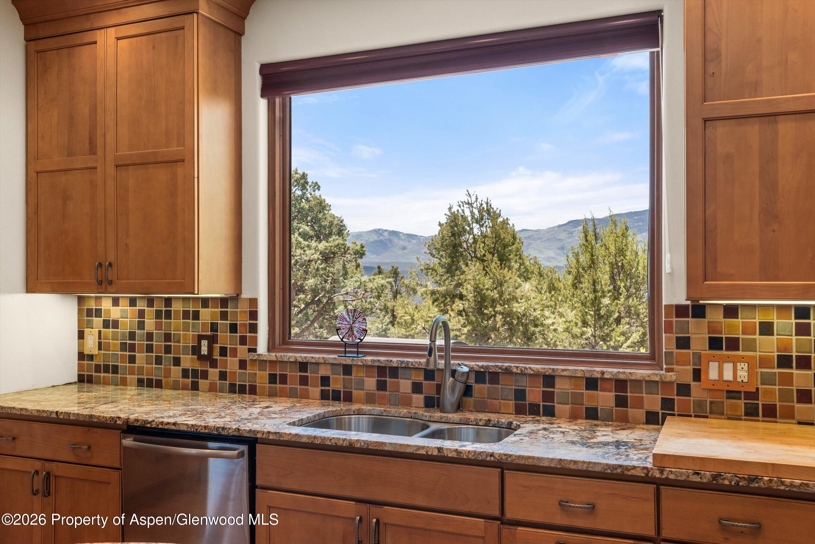 1155 Elk Springs Drive Property Photo 16