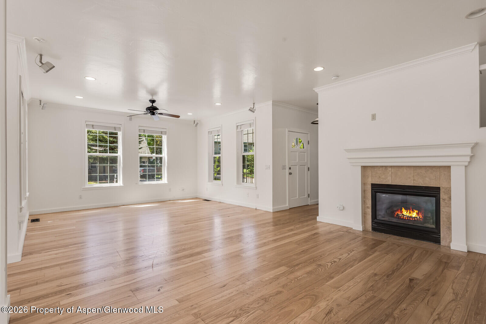 355 Meadow Drive Property Photo 3