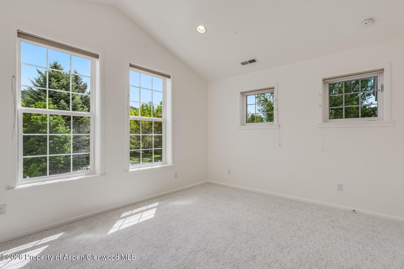 355 Meadow Drive Property Photo 35