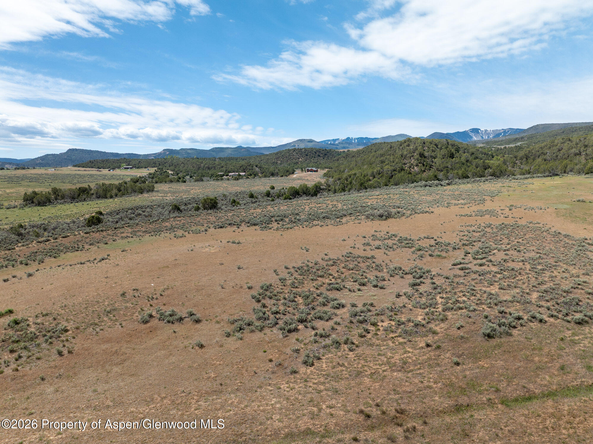 Tbd N Cedar Springs Ranch Road Property Photo 12