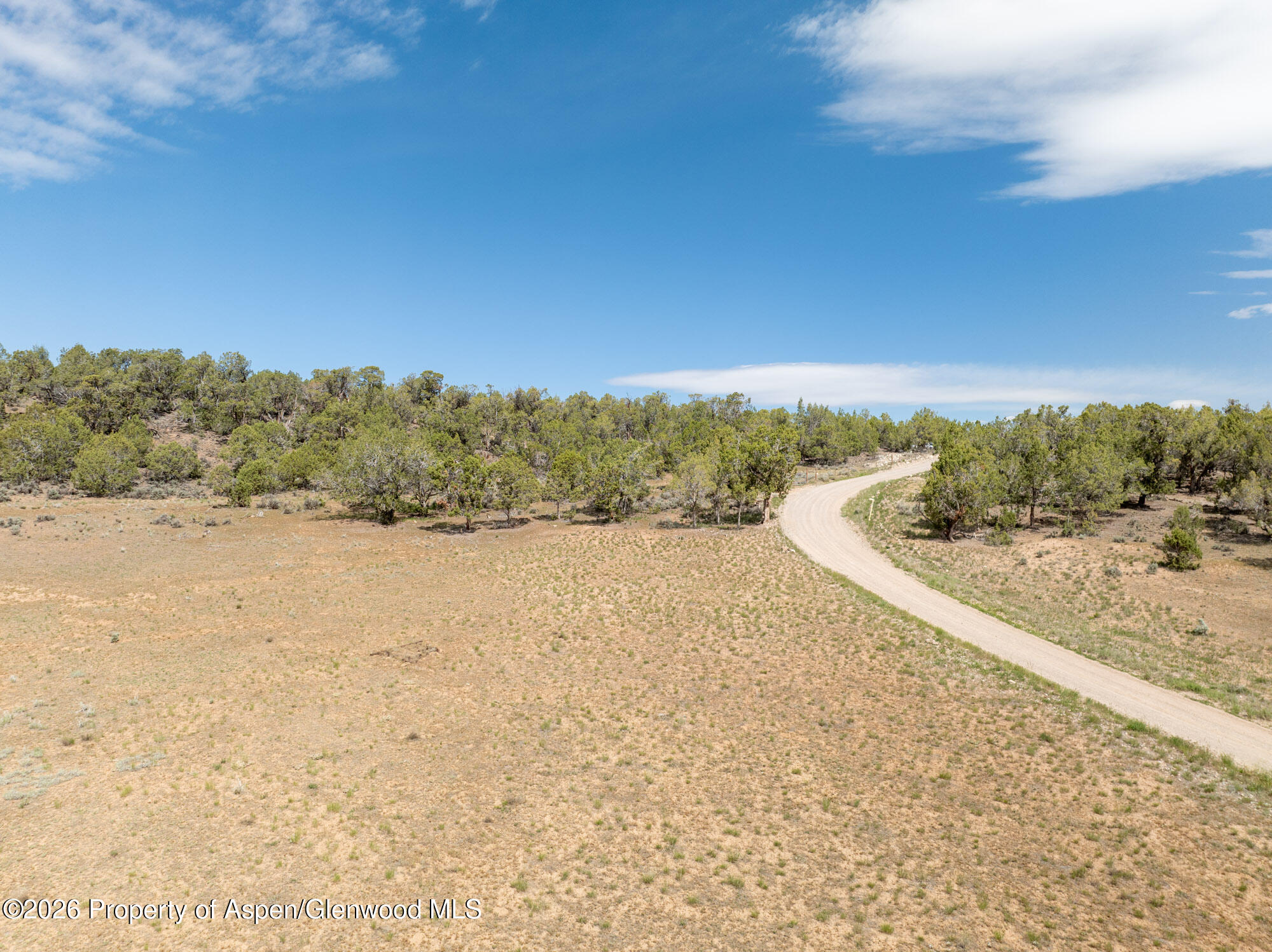 Tbd N Cedar Springs Ranch Road Property Photo 13