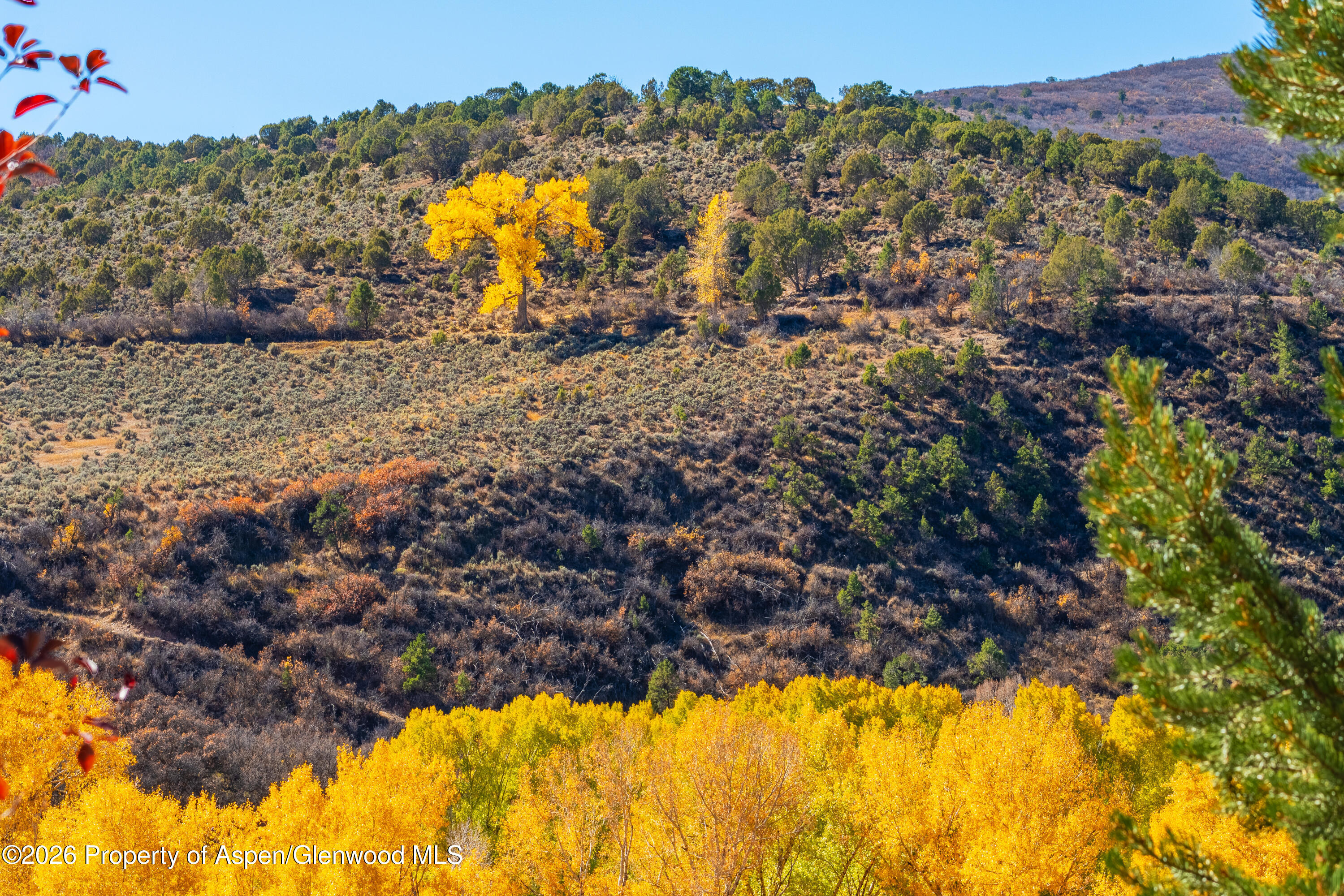 422 Sopris Creek Road Property Photo 48