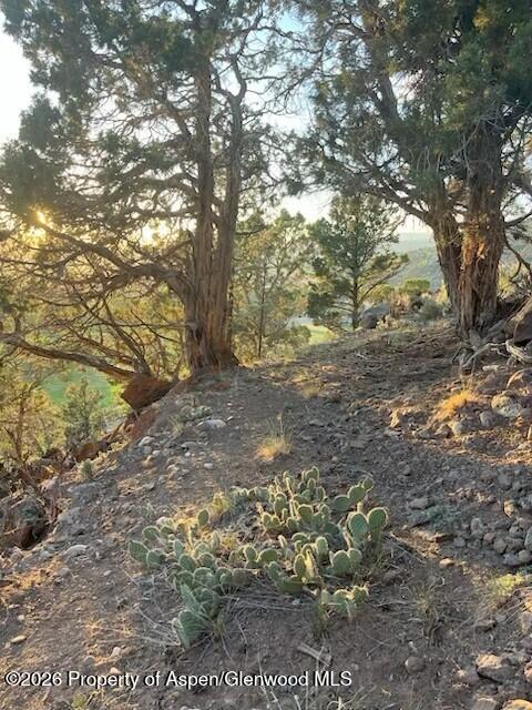 422 Sopris Creek Road Property Photo 51