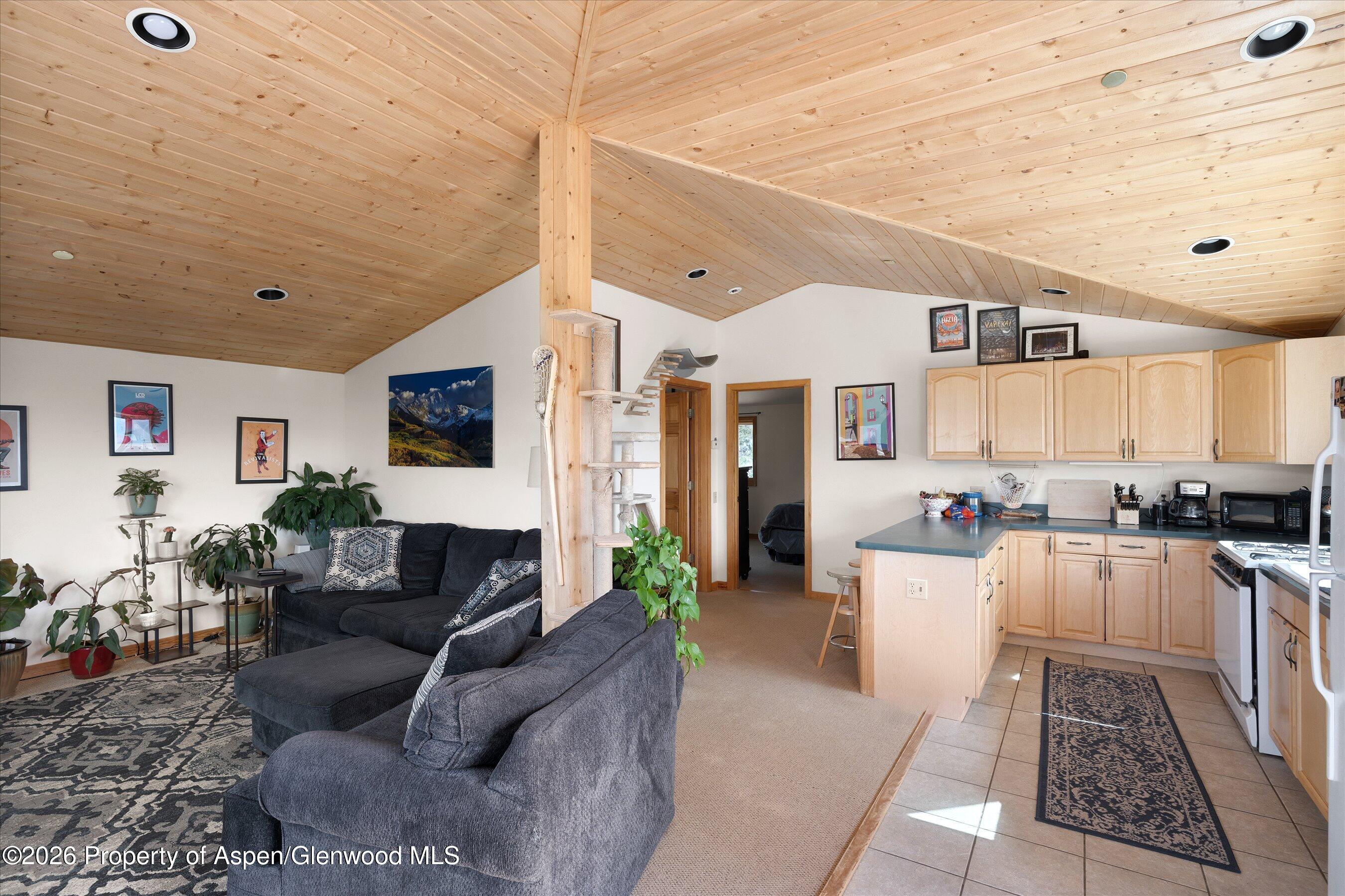 115 Rural Mountain Way Property Photo 27