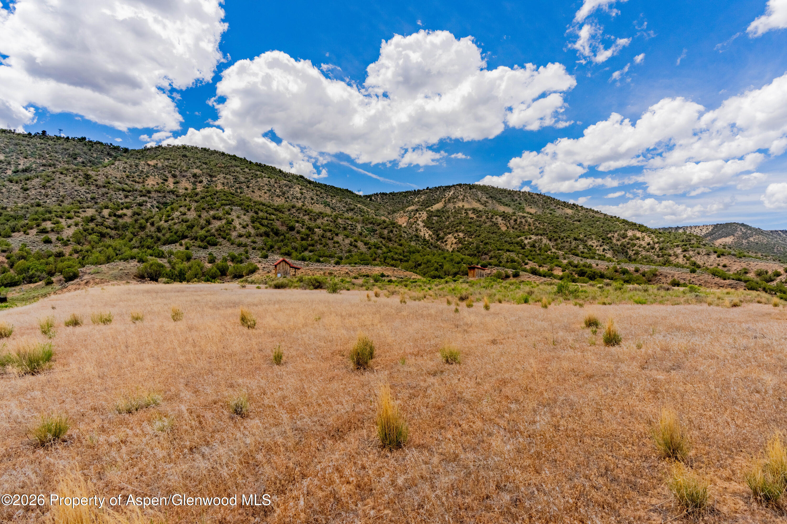 799 Buckhorn Drive Property Photo 11