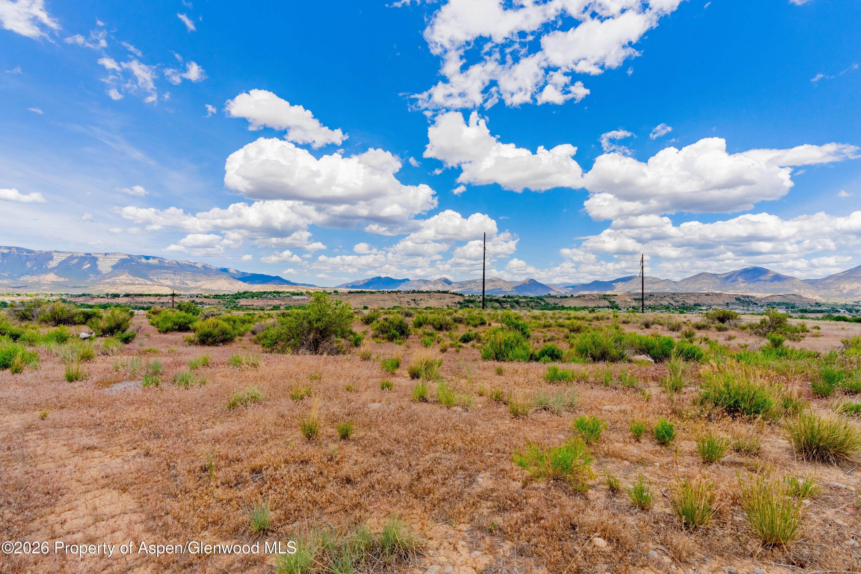799 Buckhorn Drive Property Photo 16
