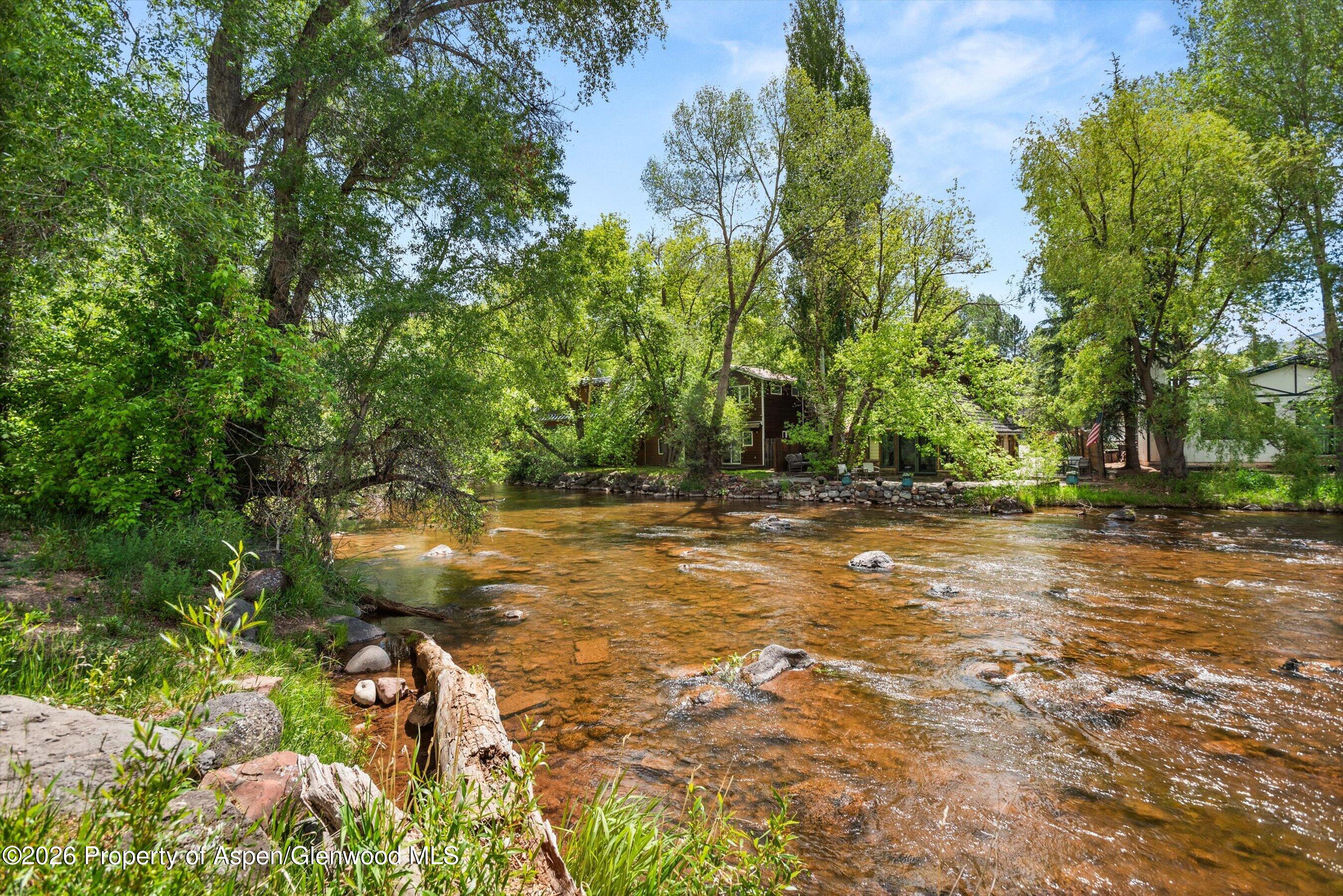 189 Basalt Center Circle Property Photo 11
